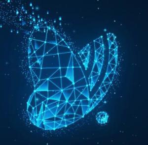 杭州变啦网络科技 引领健康管理领域的网络技术创新者